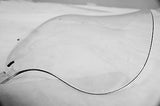 10" Clear Mutazu Aero Split Windshield Batwing Fits 94-13 Harley Touring