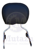 Detachable Chrome Sissy Bar for 2009 -up Harley Touring